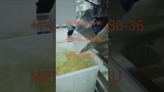 Линия для очистки картофеля (1 т/ч)