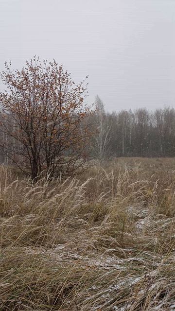 Нет ничего прекраснее природы