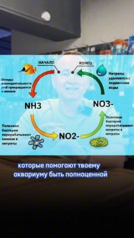 ТОП 3 ОШИБКИ аквариумиста