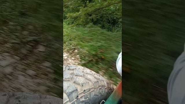 VID_20250617_160344