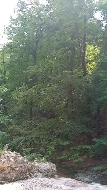 VID_20250612_113233