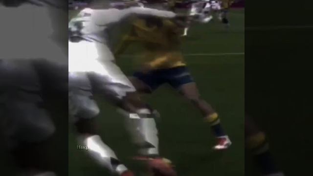 1000005782.mp4