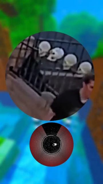 Видео из Тик Тока