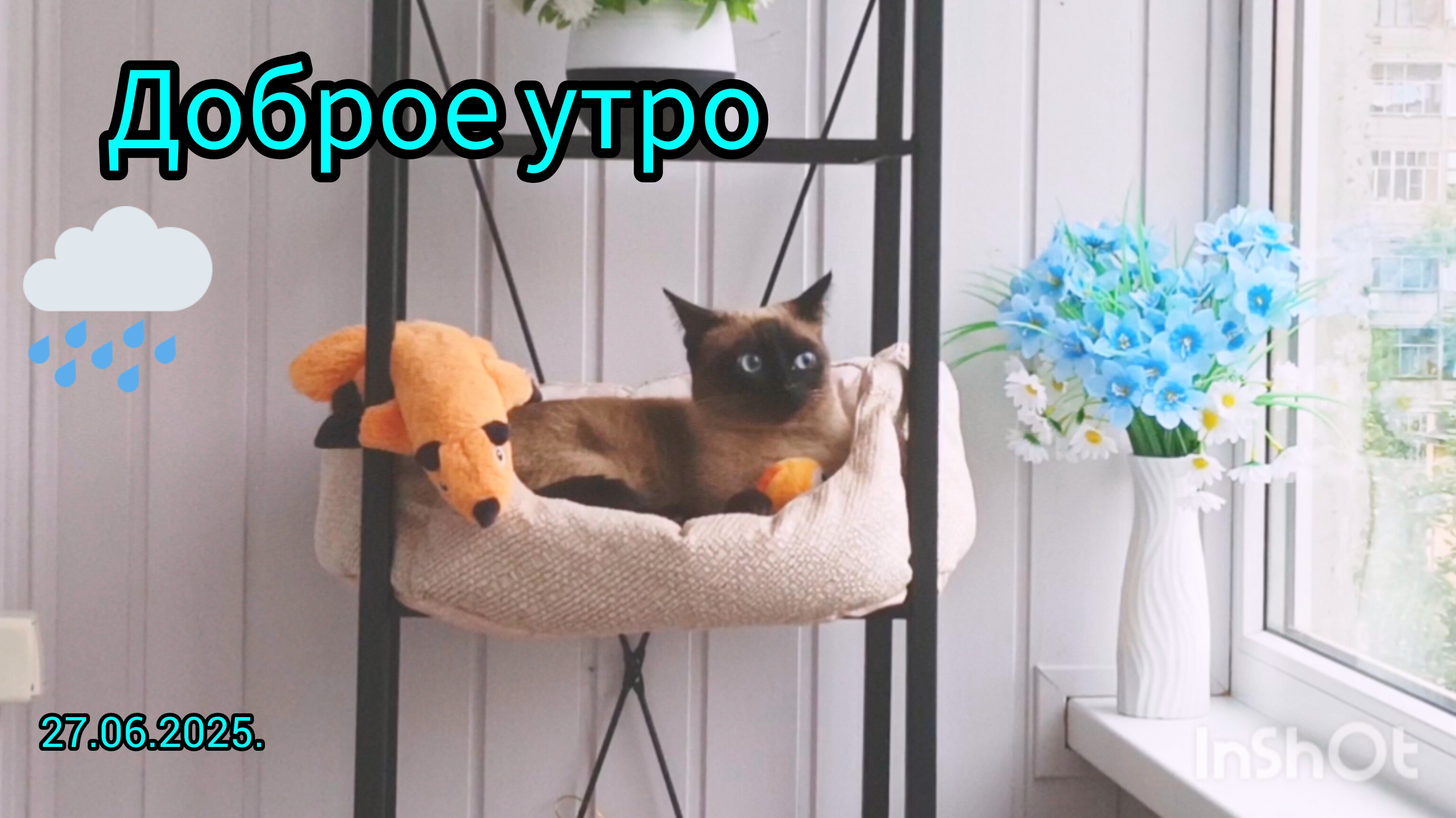Доброе🌦️утро🐱27-06-2025