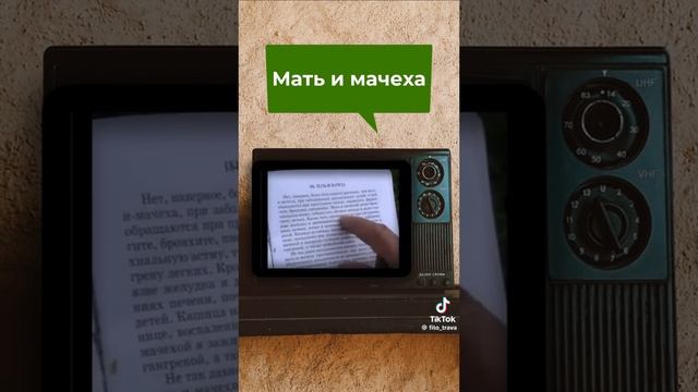 Мать-и-мачеха