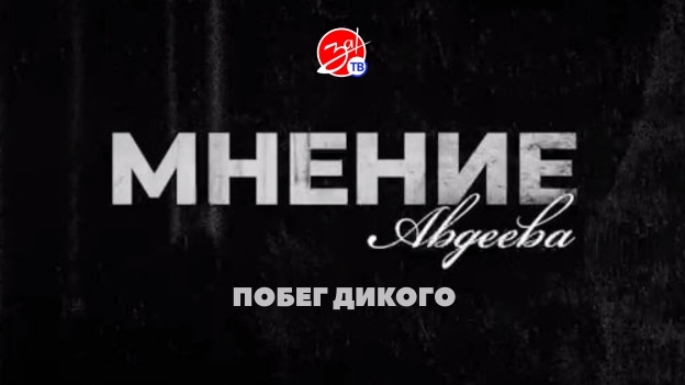«Мнение Авдеева» о побеге Дикого