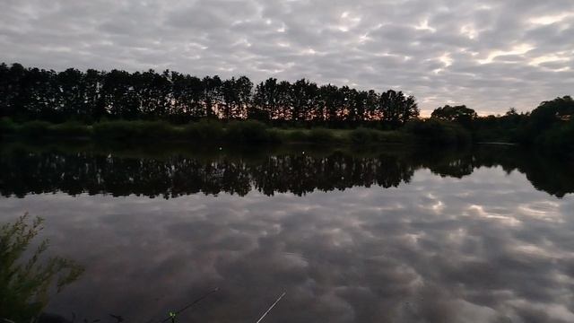 Хороший экземпляр 😉🐟