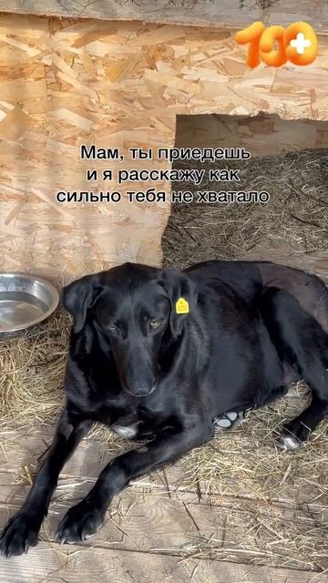 Мама