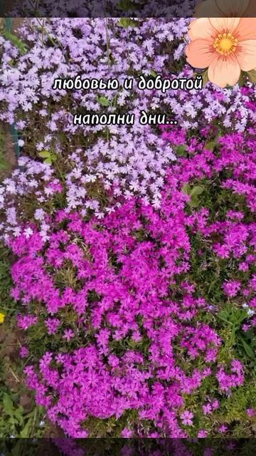 Доброе утро☀ 🌝⏰