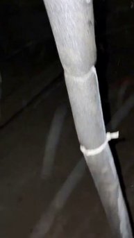 Голубые дали, 14