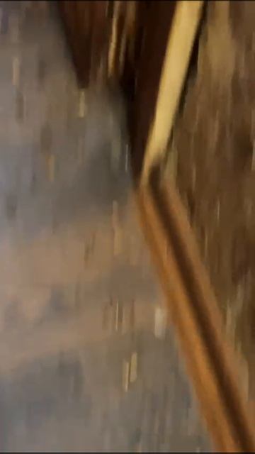 VID-20250315-WA0001