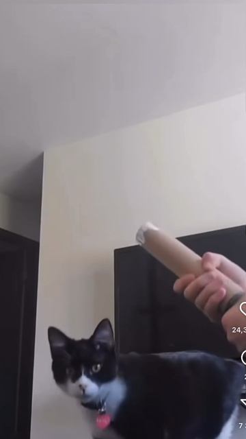 Приколы, подборка, ржака