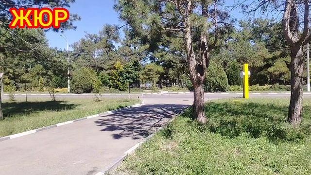 Просто катались остановились сняли природу вокруг на пионерском в Анапе