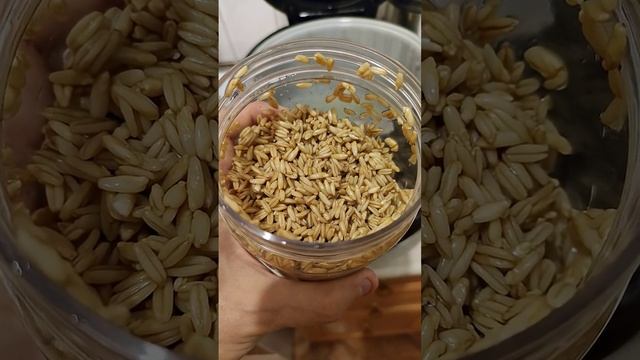 Готовим вкуснейшую овсянку. Будете готовить каждый день! Ферментированный овёс #рецепты #рационпп