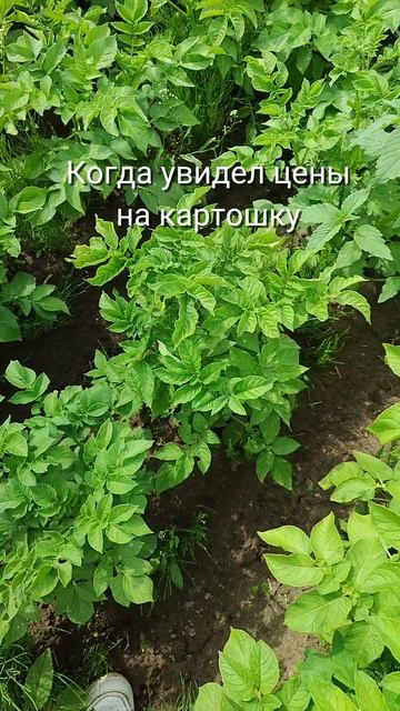 1000063531.mp4
