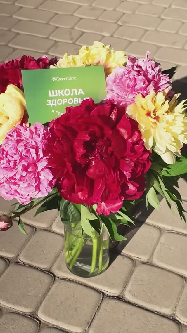 Лекции о здоровье без запугивания и лишних терминов