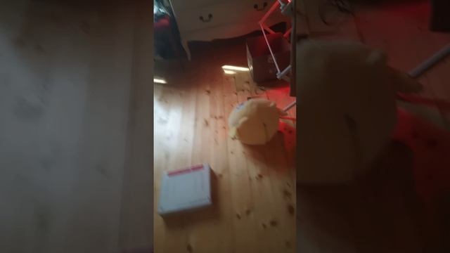 цыплята часть 2