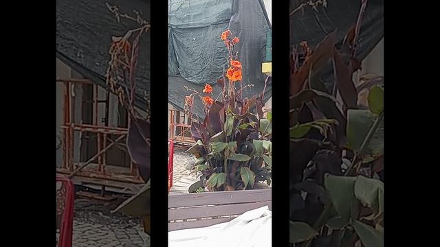 Прогулка в Алкошете, Португалия.