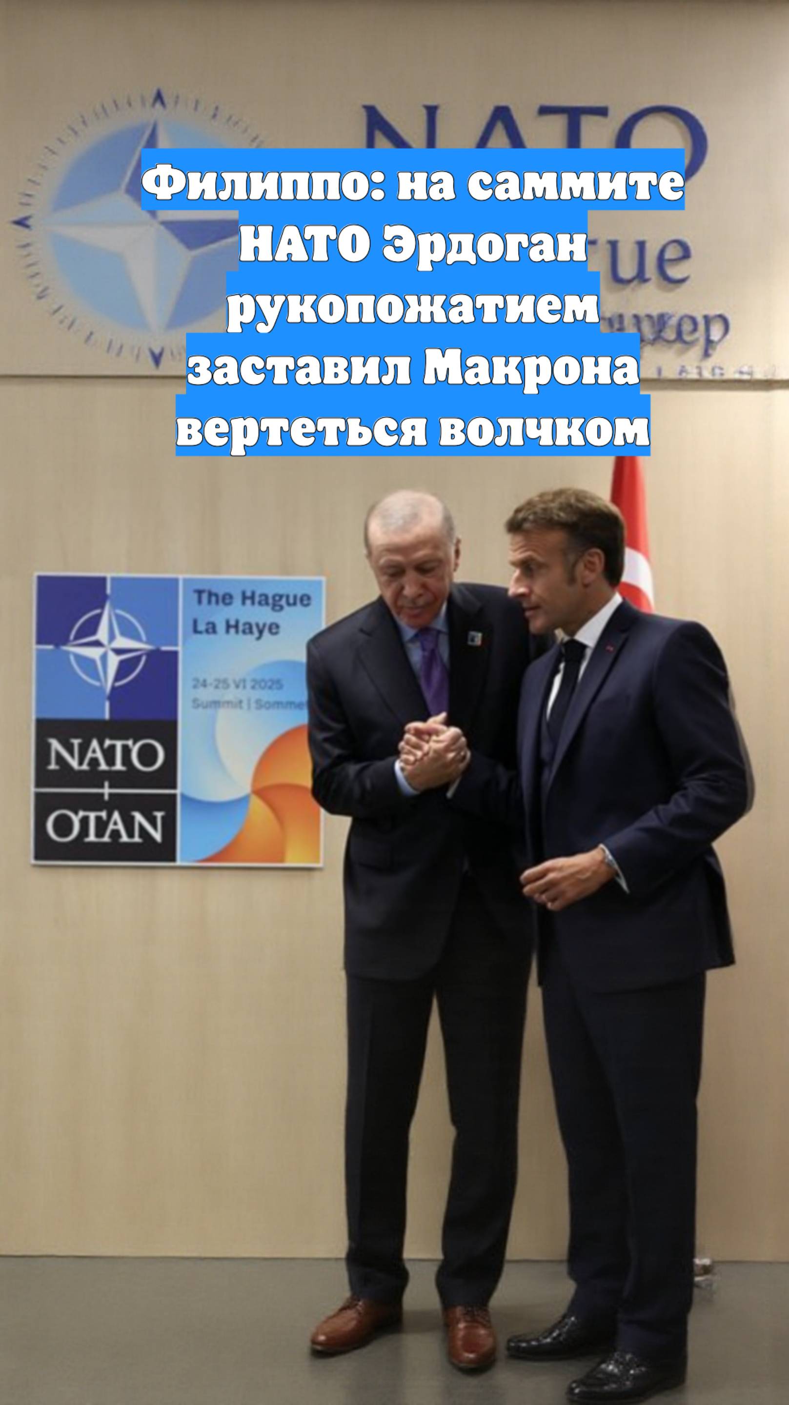 Филиппо: на саммите НАТО Эрдоган рукопожатием заставил Макрона вертеться волчком