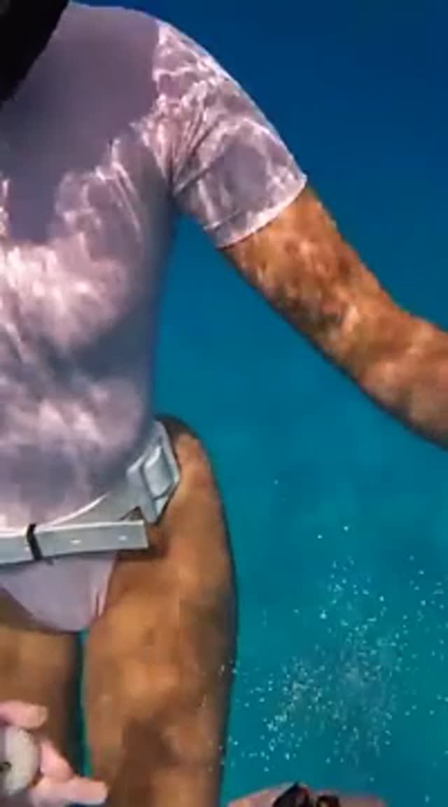 Balls #shorts