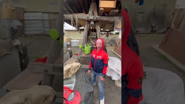Поле чудес