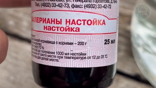 Прощай, вредители: как пара ложек спасут вашу капусту от нашествия!