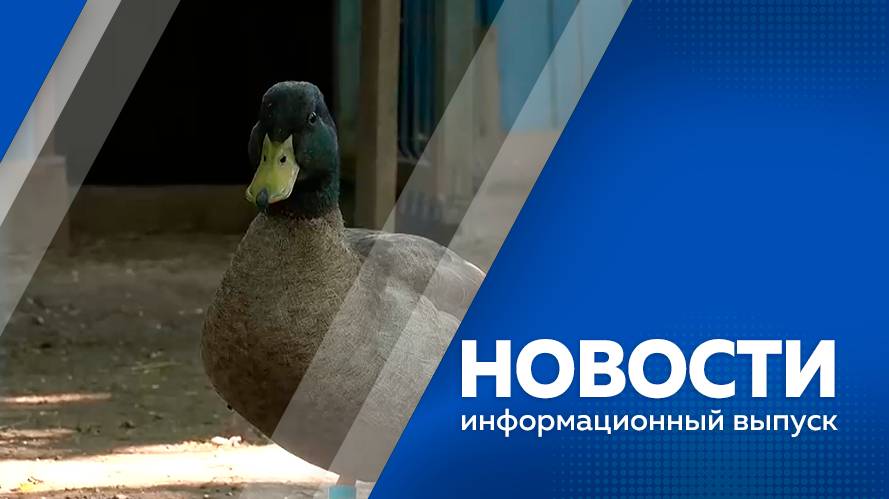 НОВОСТИ 26.06.25+