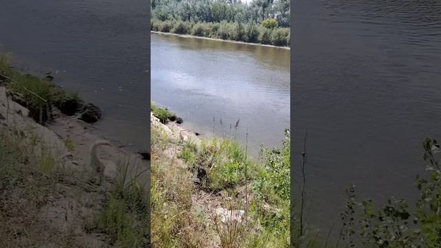 1. HnVideoEditor_2025_06_27_195008399