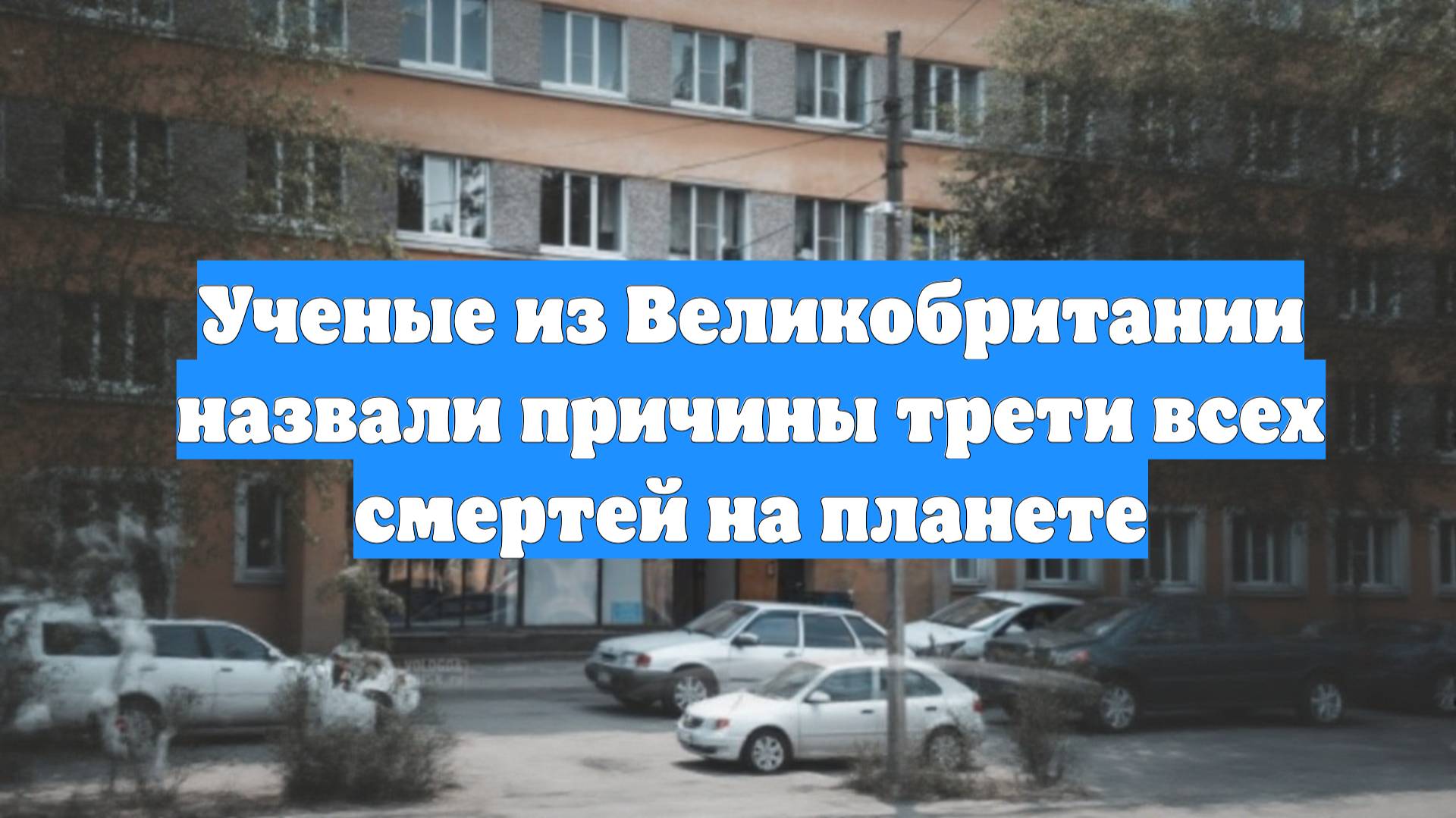 Ученые из Великобритании назвали причины трети всех смертей на планете