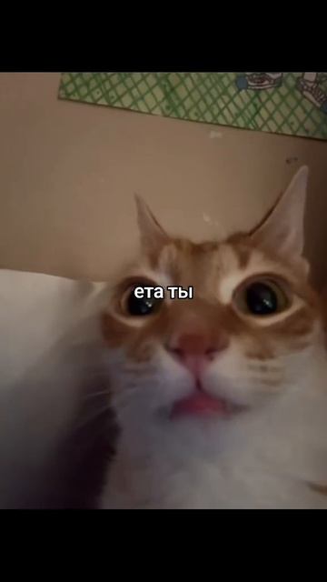 это вы