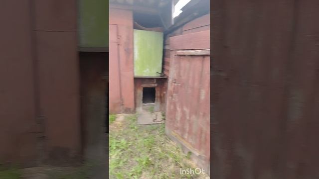 1000035043.mp4