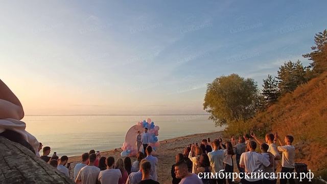 гендер пати (2)