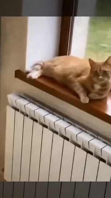 Ты ничего не докажешь