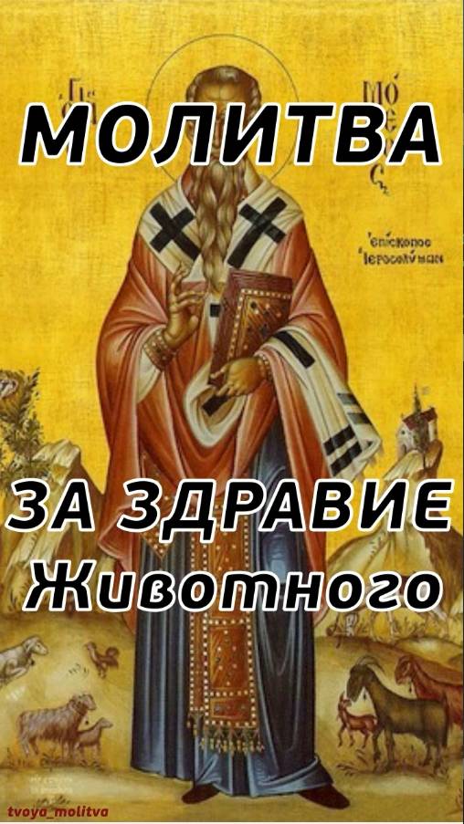 Молитва за здравие животного