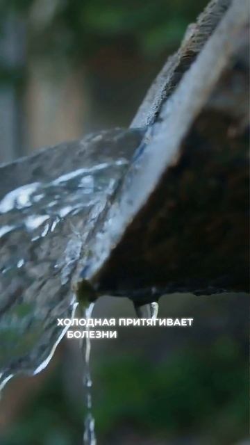 Никогда не оставляйте грязную посуду на ночь! Это разрушает ваше благополучие