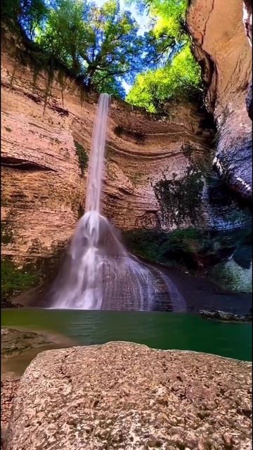 Шакуран Водопад шортс