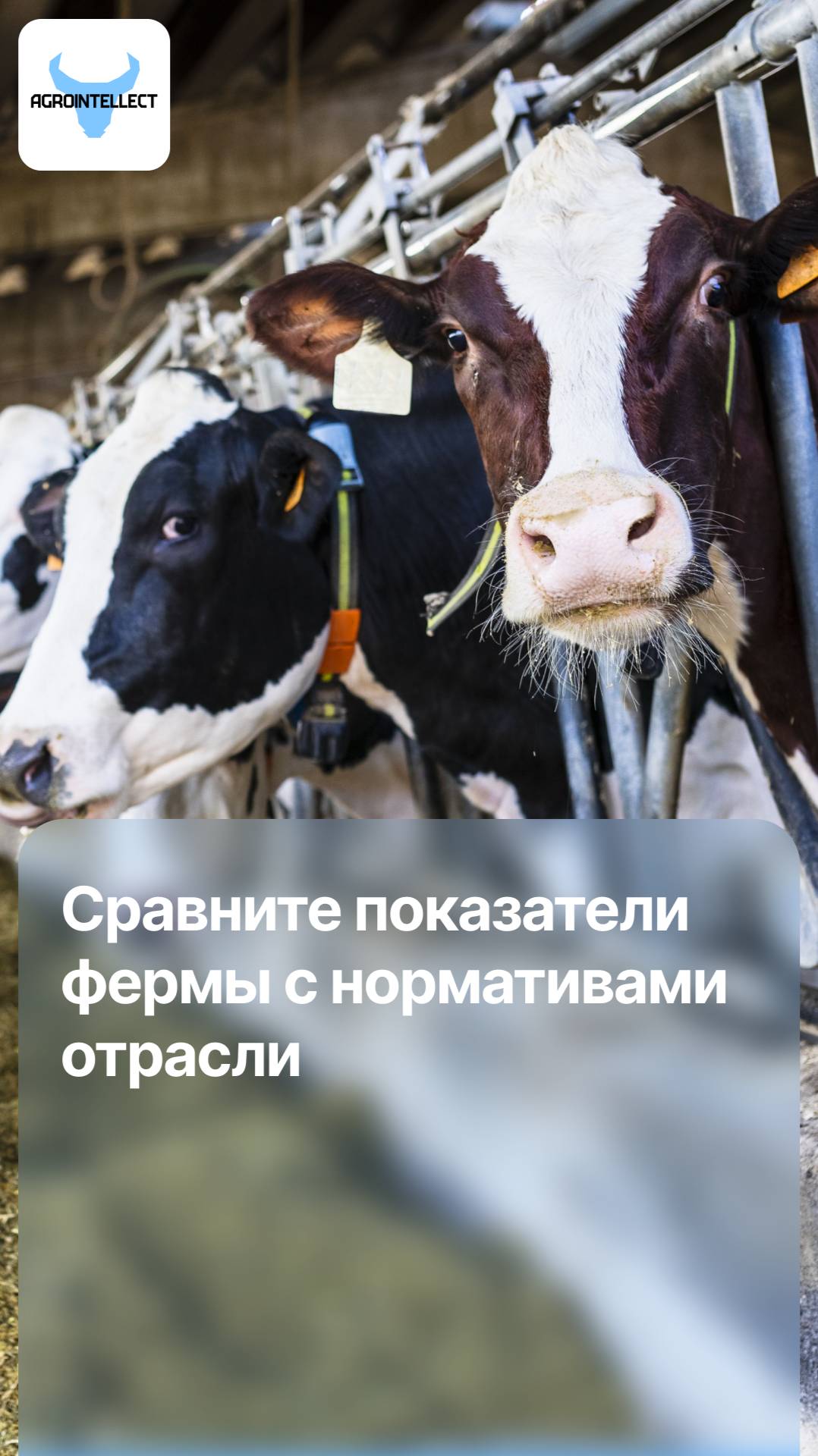 Сравните показатели вашей фермы с нормативными по отрасли!