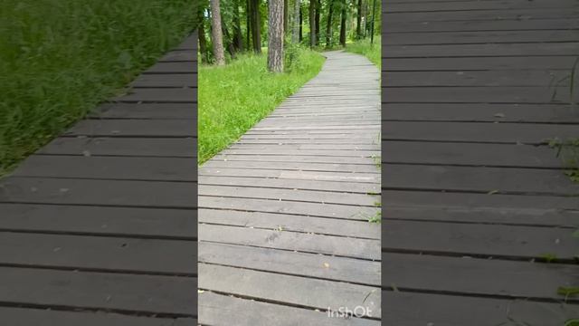 Красивый парк