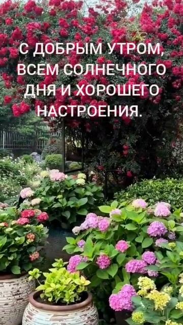 1000005015.mp4  с ДОБРЫМ утром