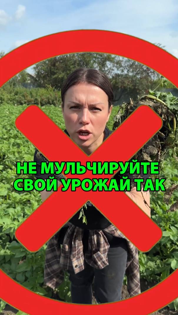 Не мульчируйте свой урожай так, если не хотите его уничтожить