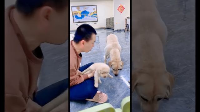 Смех продлевает жизнь 😆