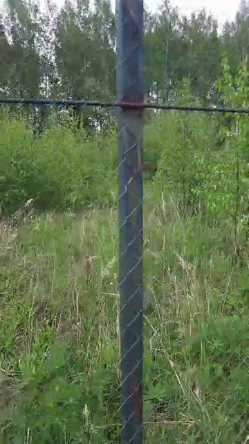 VID-20250530-WA0040