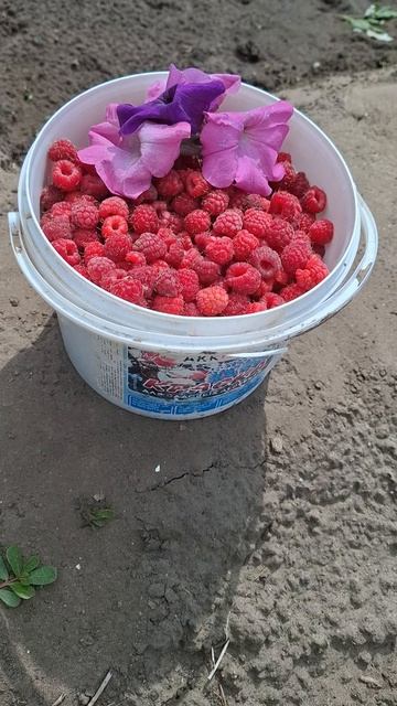 Мама и малина
