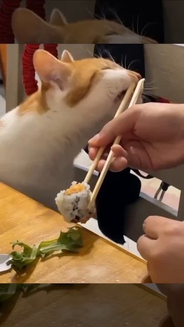 Ммм палочки😋