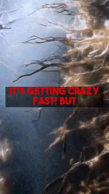 See the reality of AI photo editing for portraits and AI headshots in 2025. AI portrait editors...