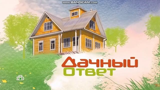 (Suno AI) Нейросеть расширила тему "После ремонта" из программы "Дачный ответ"