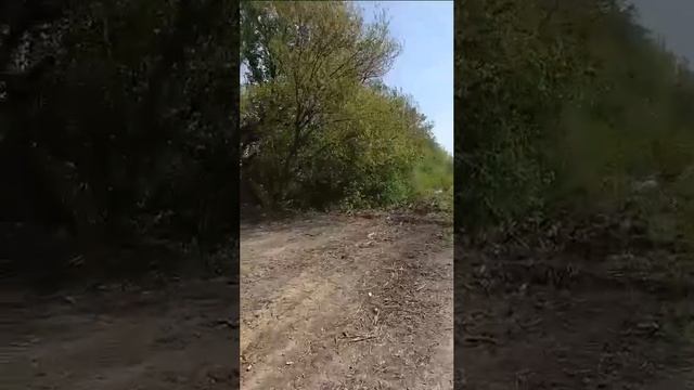 video_2025-06-28_10-52-23