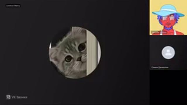 VID_20250628_101601_298.mp4