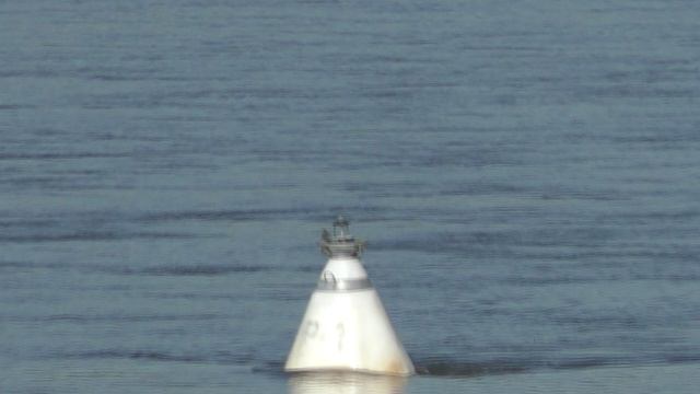 Река Белая От 24 Мая Суббота 2025 г.