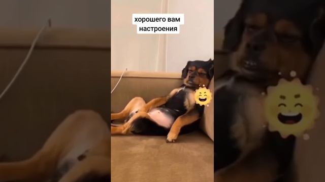 1000023100.mp4